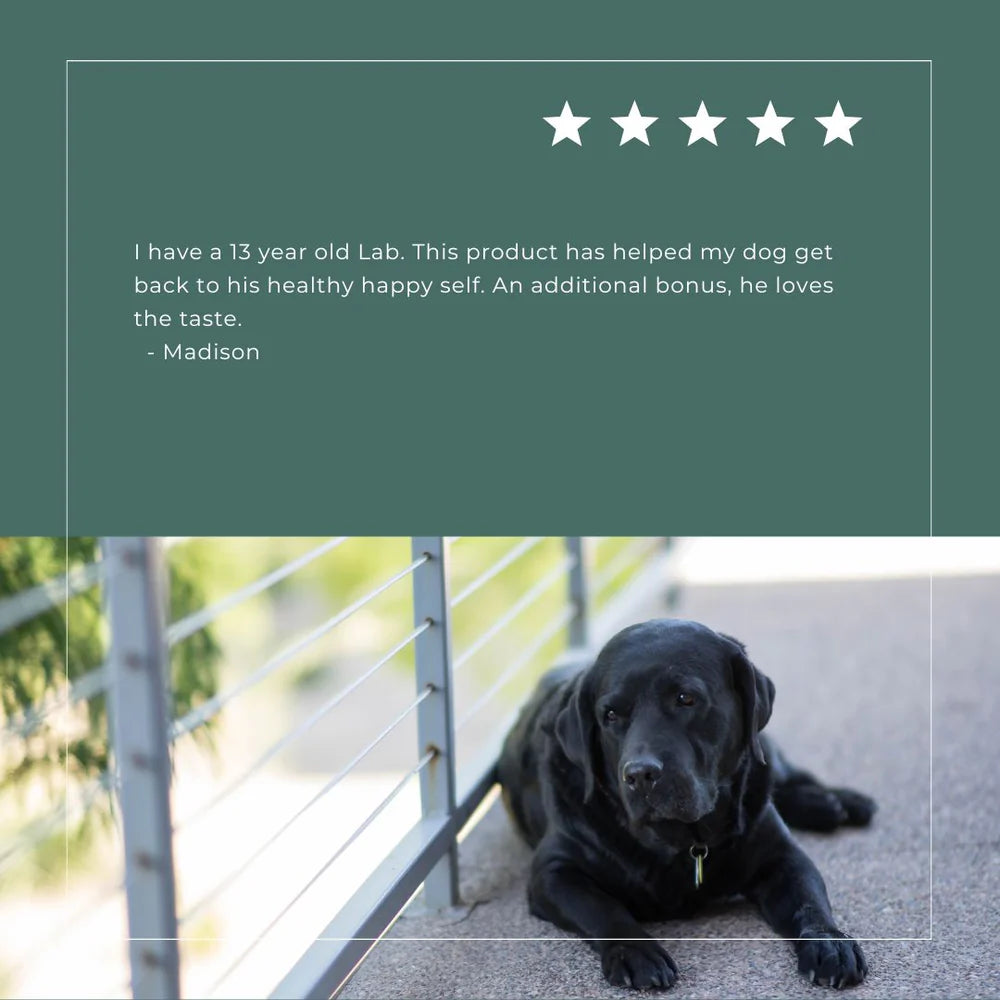 Pet 750mg Tincture